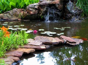 Water Features